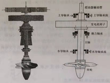 水輪發(fā)電機組結(jié)構(gòu)特點